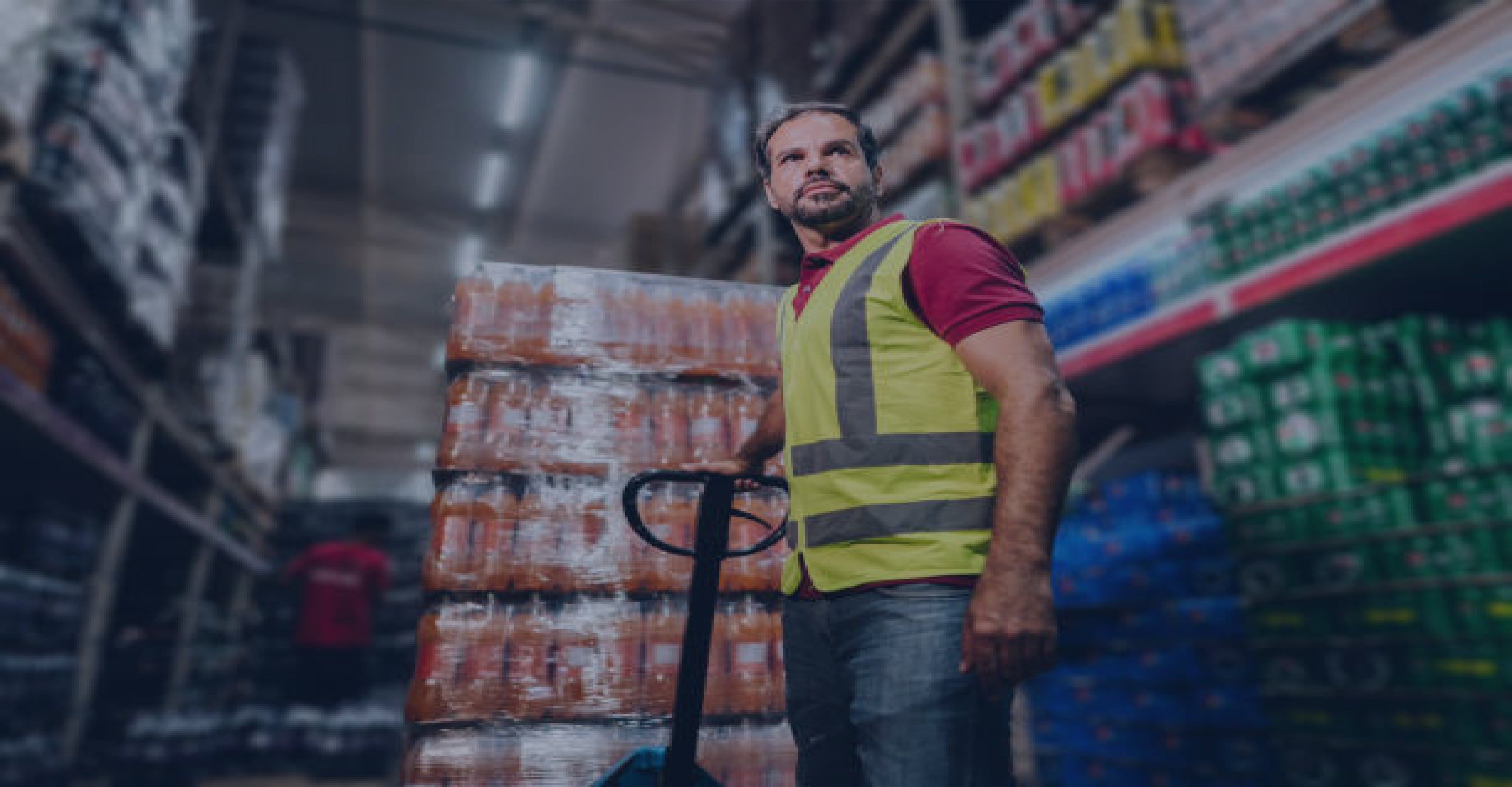 Logistics & Distribution Solutions